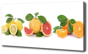 Fali vászonkép Citrusfélék oc-108945081
