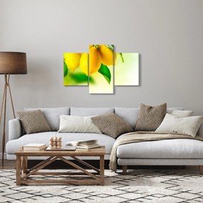 A citrom képe (90x60 cm)