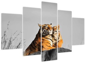Kép - Tigris és a kölyke, fekete-fehér változat (150x105 cm)