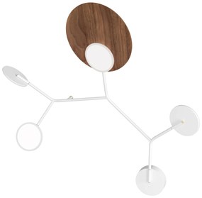 Ballon 5 C fali lámpa, többféle változat - TUNTO Modell: fehér keret és burkolat, diófa rétegelt lemez panel