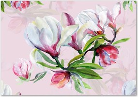 Üveg konyhai panel Magnólia virágok Ragasztó Ingyenes