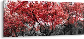 Kép - vörös fák, Central Park, New York (120x50 cm)