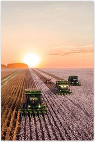 Poszterek 80x120 Aratás Mezőgazdaság Kombájn