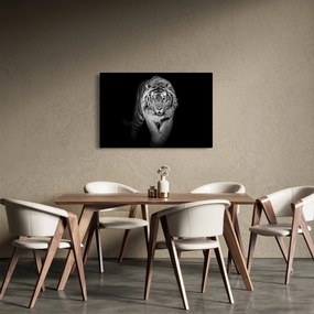 Kép - Sárga szemű tigris (90x60 cm)
