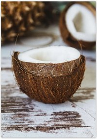 Poszterek 70x100 Kókuszdió Bronz