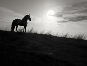 Poszter 100x75cm Holdőrség