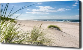 Vászonkép Fagyos tengerpart 100x70 cm