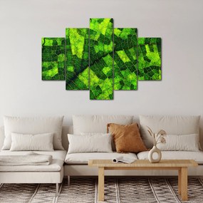 Kép - A lap részlete (150x105 cm)