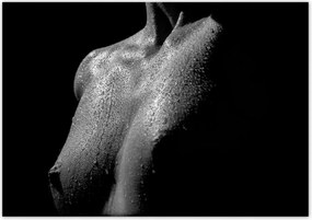 Poszterek 100x70 Aktok Meztelenség Szerelem Fotó