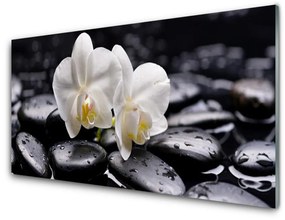 Akrilüveg fotó Zen White Orchid Spa 100x50 cm 2 fogas