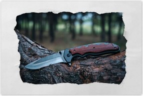 Poszterek 120x80 Fatörzsön fekvő kés