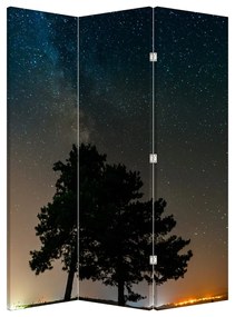 Paraván - Éjszakai égbolt fákkal (126x170 cm)