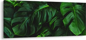 Monstery levelek képe (120x50 cm)