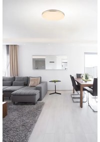 GLOBO 48388-48 - PIERRE LED mennyezeti lámpa DO-val 1xLED/48W/230V