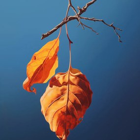 Poszter 80x80cm A nyár utolsó lélegzete