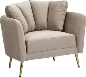 Szürkésbarna bársony fotel Kiev – Mauro Ferretti