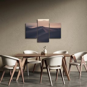 Kép - Homokdűnék (90x60 cm)
