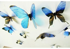 Butterflies 18 db-os kék 3D hatású falmatrica szett - Ambiance