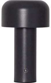 Szürke LED asztali lámpa (magasság 21,5 cm) Bobby – Star Trading