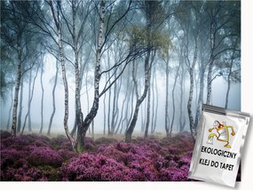 Fotótapéta Flizelina Erdő Nyírfák Virágok Láp Köd 200x140 ragasztó