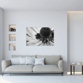 Kép - Virág fekete-fehérben (90x60 cm)