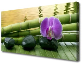 Vászonfotó Virág Stones Bamboo Nature 100x50 cm