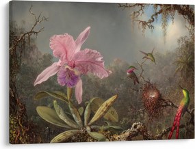 Kép - Martin Johnson Heade, Cattleya Orchid and Three Hummingbirds, reprodukciók (70x50 cm)