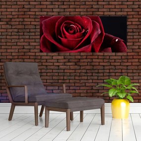 Kép - Vörös rózsa (120x50 cm)