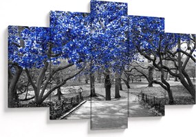 Kép - Kék fák, Central Park, New York (150x105 cm)