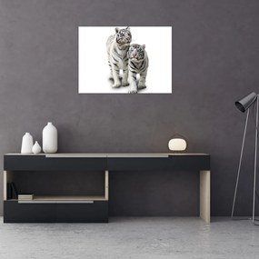 Kép - A fehér tigris (70x50 cm)