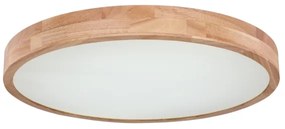 Globo 41745-48 - LED Dimmelhető mennyezeti lámpa RAINER LED/48W/230V + távirányító