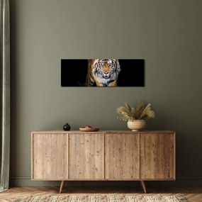 Kép - Tigris (órával) (90x30 cm)