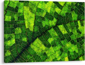Kép - A lap részlete (70x50 cm)