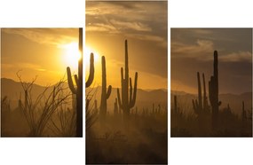 Kép - Saguaro kaktuszok (90x60 cm)