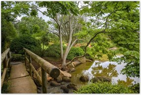 Poszterek 120x80 Japán kert Japán