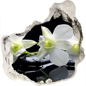3d-s lyukat fali matrica Orchidea nd-p-28908662