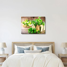 Friss menta képe (70x50 cm)