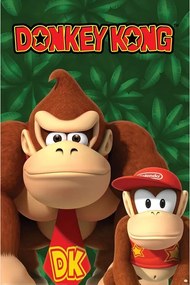 Plakát Nintendo - Donkey Kong And Diddy Kong