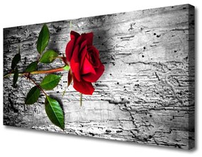 Vászonkép nyomtatás Rózsa Virág növény természet 125x50 cm