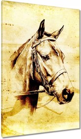 Vászonkép 80x120 Lófej