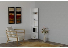 Ravella White könyvtár