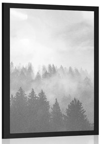 Poszter köd az erdő felett fekete-fehérben