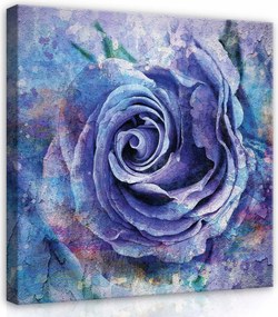 Vászonkép 80x80 Rózsa kék lila virág szirmok textúra absztrakt álom