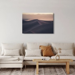 Kép - Homokdűnék (90x60 cm)