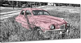 Vászonkép 180x90 Rózsaszín nagymama Antik