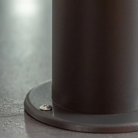 BRILAGI-LED dimmelhető kültéri lámpa ELIA 1xE27/6W/230V 2700-6500K IP44 50 cm antracit