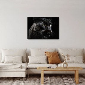 Kép - Fekete Párduc (70x50 cm)