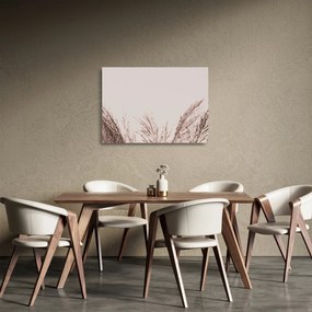 Üveg kép - Szárított fű (70x50 cm)