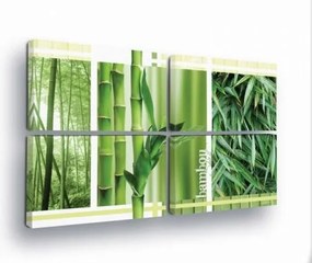 Vászonkép 120x80 Bambusz természet zöld erdő frissesség nyugalom harmónia