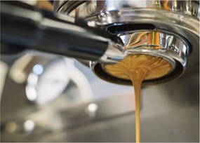 Kép - espresso (70x50 cm)